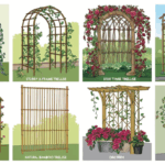 Trellis Ideas-Trellis Variety