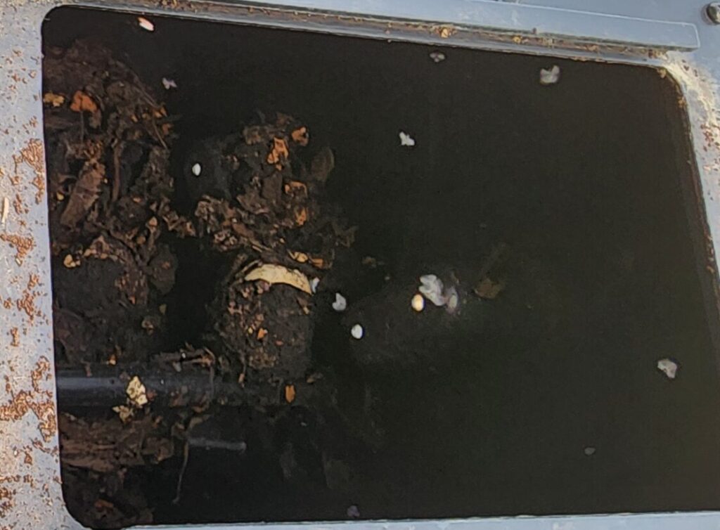 Neglected compost bin with compacted dark organic material before being revived