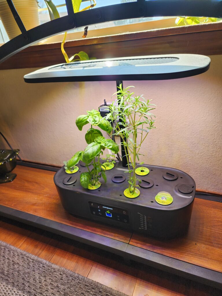 small hydroponic gardening at home with basil and savory growing in a 12 pod system