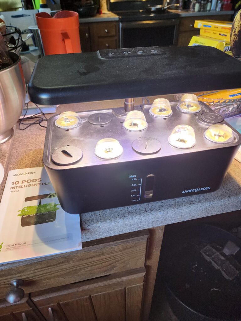 indoor hydroponic lettuce growing in a 10 pod system at home