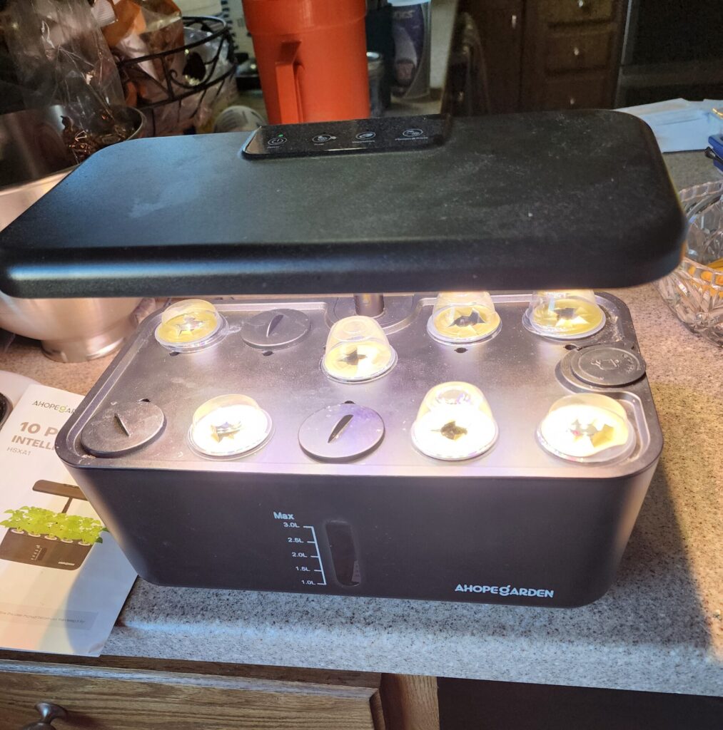 small hydroponic gardening at home with lettuce seedlings in a 10 pod system