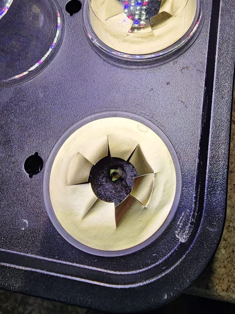 Hydroponic gardening in small spaces seed germination in sponge pod