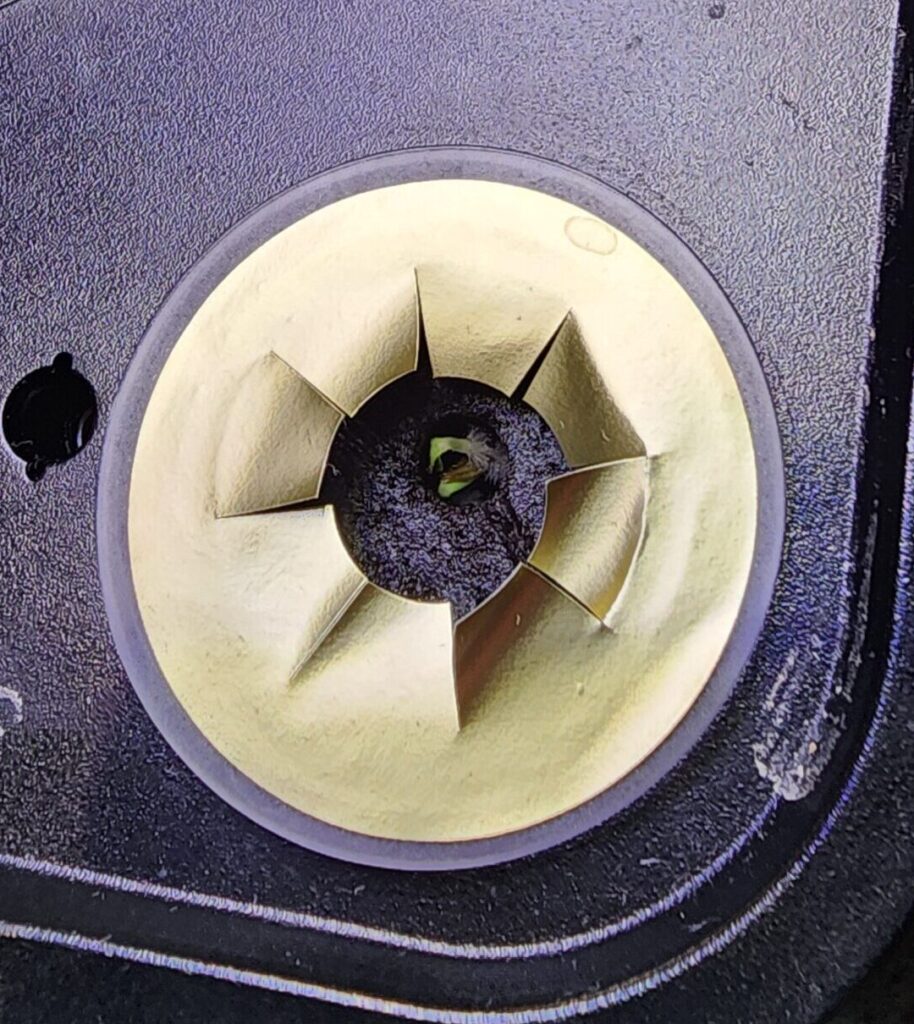 Hydroponic gardening in small spaces seed germination in sponge pod